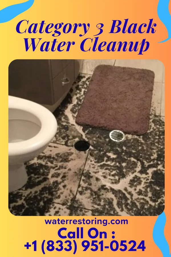 Category 3 Black Water Cleanup in Keyser, WV